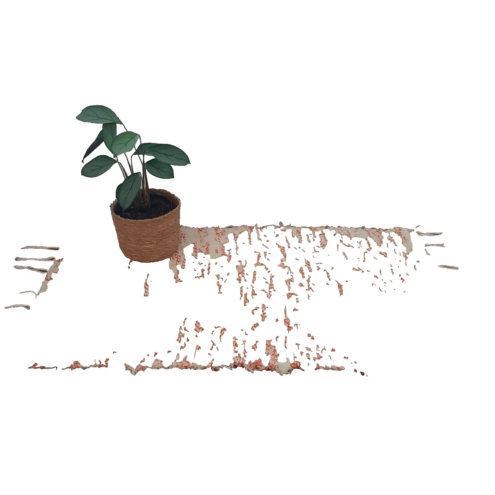 Machine Washable Door Mats & Floor Mats