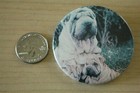 New ListingCute Shar-Pei Dog & Puppy Dog Pinback Button #31292