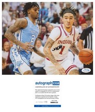 Jalen Hood-Schifio Indiana Basketball Star signed autograph 8x10 photo ACOA