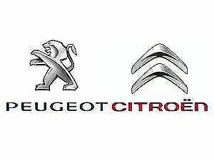 Autres équipements du système d'admission moteur Citroën pour automobile