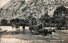 Monterrey, México Carruaje Tirado por Caballos Cruce La Huasteca, Monterrey RPPC