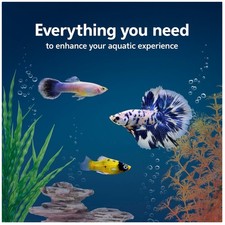 Complete 20-Gallon Fish Tank Setup with SmartClean