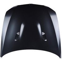 Diederichs 1216202 Motorhaube, Frontklappe Vorne FüR BMW 3 Coupe (E92) 2005-2010