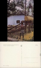 Postcard Kandy Boxwood Treetment 1967