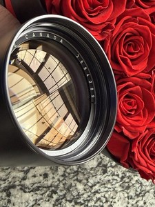 [Exellent+++] LEICA Telyt-R 250mm F/4.0 Boxed+ Papers + Adapter LR-NEX