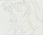 The Twelve Kingdoms Juuni Kokki Genga Douga Original Sketches Pierrot - Youko — photo 8