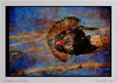 352063 Östliche wilde Türkei, stehendes Aquarell Bild limitierte Auflage A4