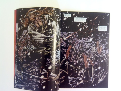 The Path #8 CrossGen 2002 en estado bastante bueno cubierta de dedo cortada Ron Marz Bart Sears primera impresión - Imagen 5 de 8