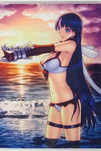 Fate/Grand Order Ruler Marta B2 Tapestry vol.4 C95 Japan Used Japan