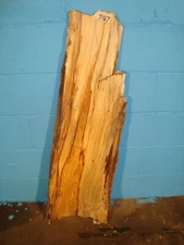 # 7167 spalted yellow birch Live Edge Slab craft wood 39"L 12 1/2" W 1 1/16"T