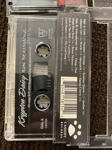 2 Cassette Lot KRYPTON DAISY DIY Punk/ Noise/Indie tapes, demos Underground Rare - Picture 6 of 7