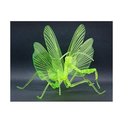 Fujimi Model Free Research Series No.23 EX-2 Iki mono hen Large Mantis JP