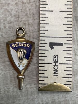 High School Senior Class Pin 1977 N | eBay