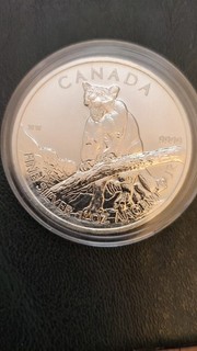 KANADA CANADA 5 DOLLARS 2012 PUMA 1 OZ UNZE 999er SILBER UNC.