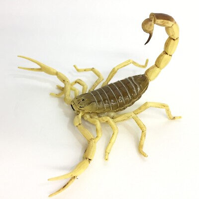 Kaiyodo Capsule Q Poisonous Creature Figure Deathstalker Scorpion Japan