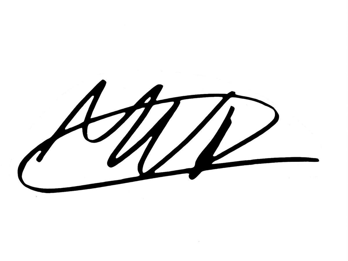 激レア　F1 ドライバー　max verstappen 直筆サイン入りトミカ Formula 1 Max Verstappen Signature Decal Sticker Permanent Vinyl W