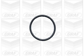 Pompe à eau moteur GRAF PA390 pour remplacer une pièce usée et éviter la surchauffe