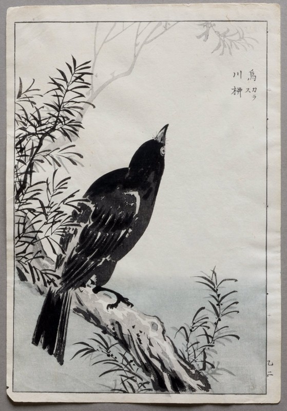 Kono Bairei Japanese Meiji Kacho-e Woodblock Print Album of 100 Birds Crow Raven