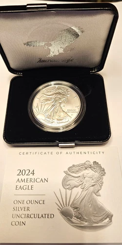 2024-W BU BURNISHED American SILVER Eagle Dollar with Mint Packaging and COA