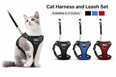 rabbitgoo Pet Cat Harness and  Leash Escape Proof Adjustable Vest for Cats