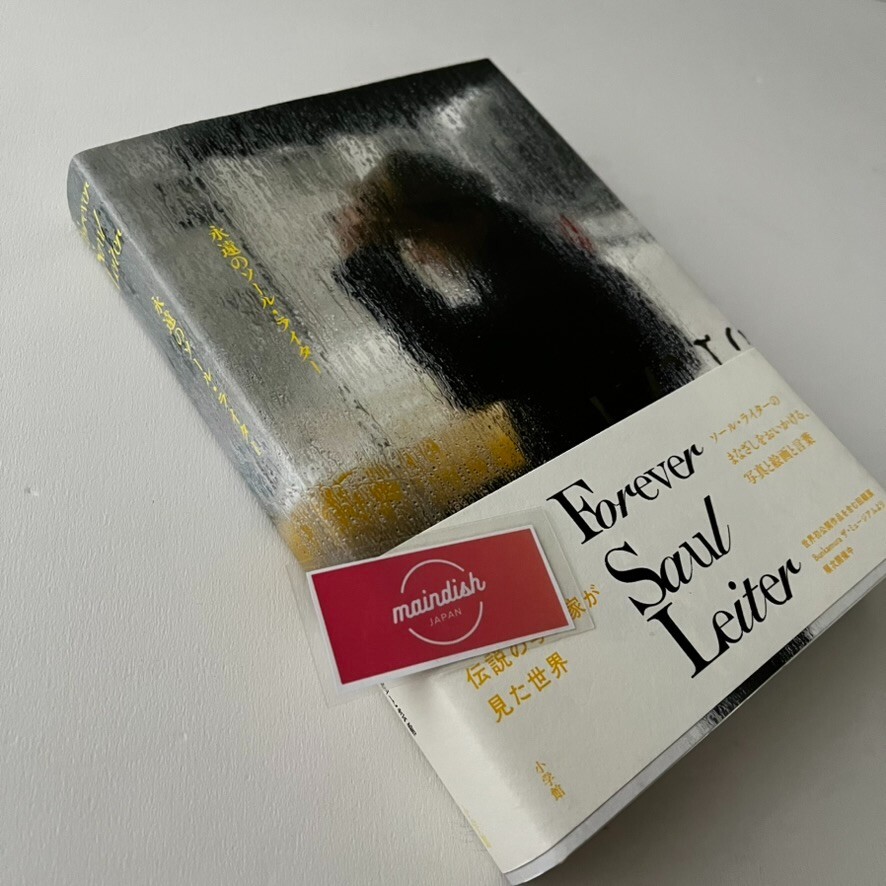 Forever Saul Leiter NY Photo Photography History Art Book