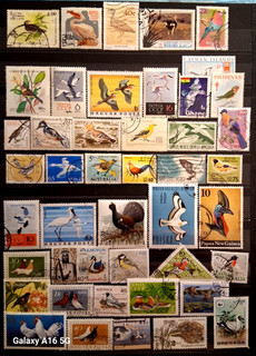 Lot de 44 Timbres Thématique "Oiseaux" (THE 846)