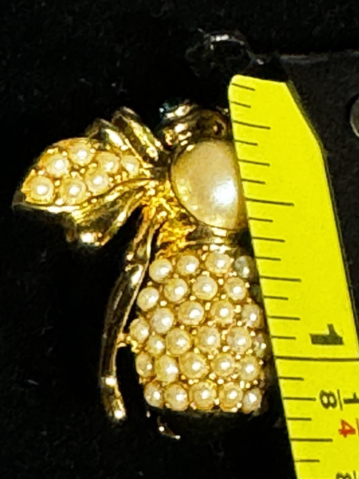 Picture 4 of 13