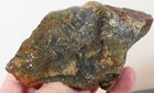 Oregon Moss Agate 10.9 oz rough lot 5 — photo 1