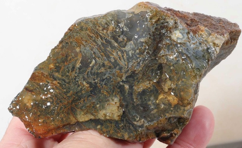 Oregon Moss Agate 10.9 oz rough lot 5