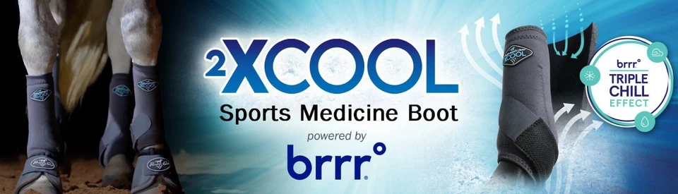 Профессиональный выбор 2xCool лошадь ботинки значение 4 упаковки роза и подкова M - Изображение 4 из 4