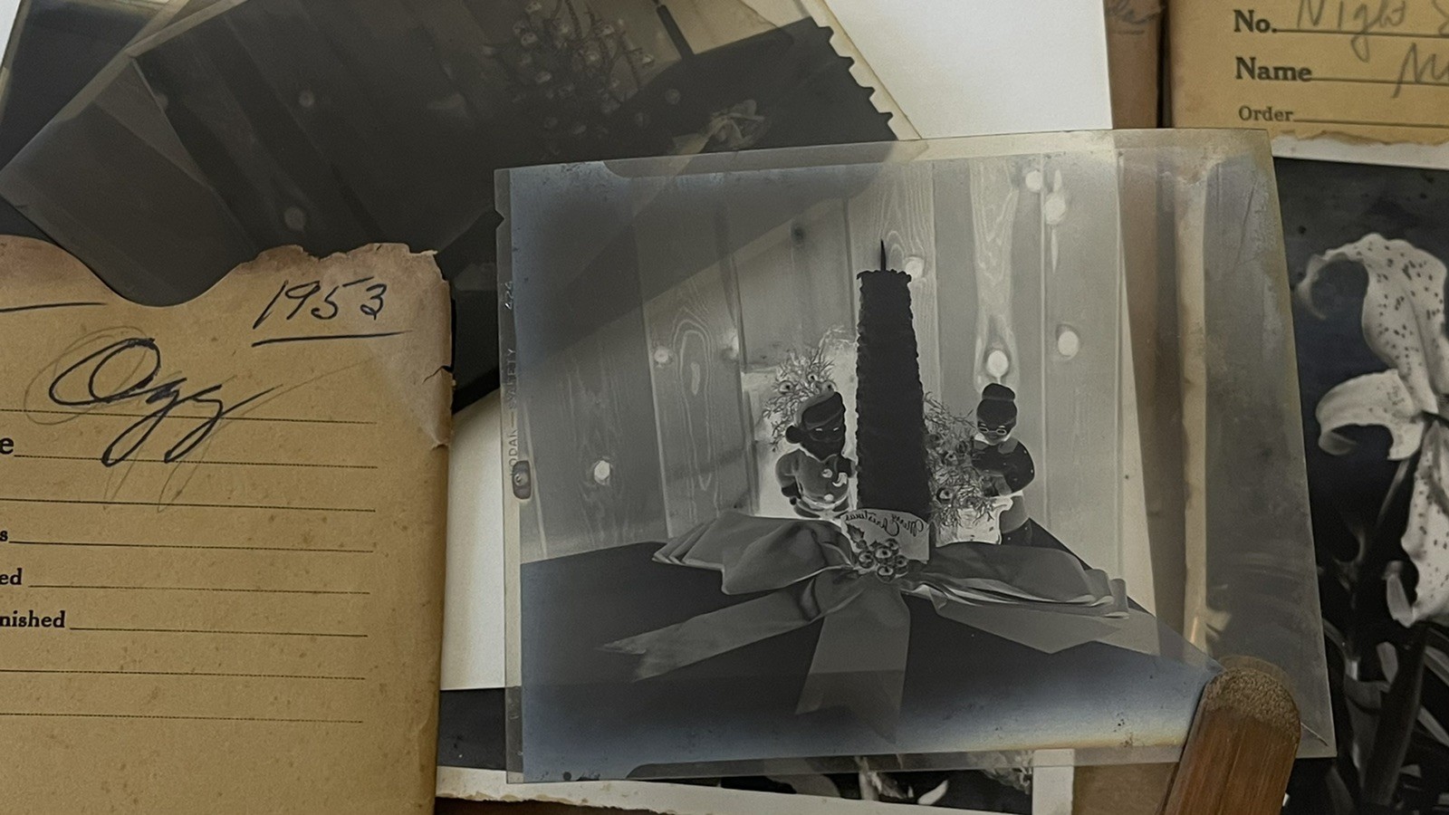 VTG Lot 4x5” Large Format 150+ B&W Photo Negatives Lot FLOWERS 1950s Damaged COA