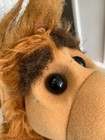 Bild 3 von 4