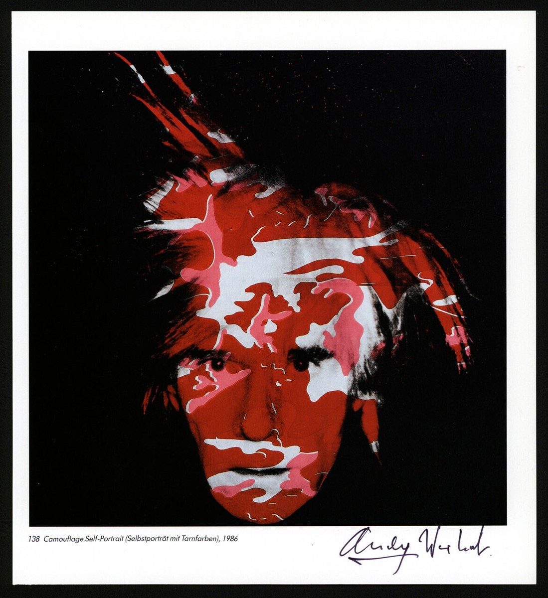 Andy Warhol Self Portrait Camouflage