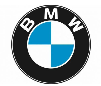 NEW OEM BMW 3 F30 FRONT LEFT DOOR OUTSIDE WINDOW CHANNEL SEALING 