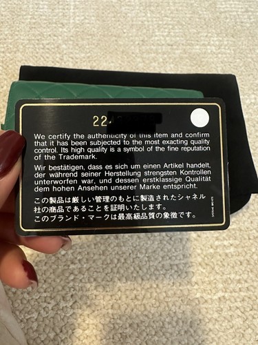 Chanel WOC Wallet On chain Green Lambskin - Picture 17 of 18