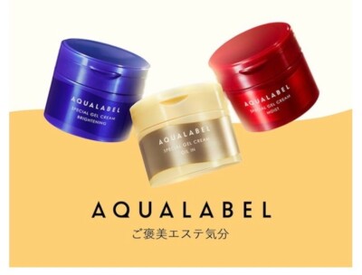 SHISEIDO Aqua Label Special Gel Cream Oil In All-in-One Skin Care