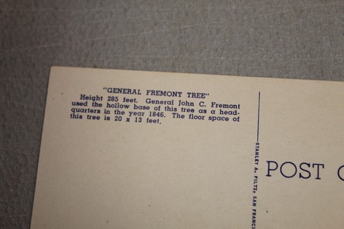Vtg Postcard General Fremont Big Trees Park Santa Cruz County CA Stanley Piltz - Picture 5 of 6
