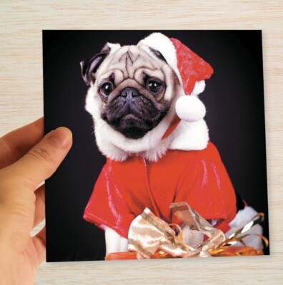 Pug Christmas Cards & Packs Santa Pug Festive Cute Dog Xmas cards From ...