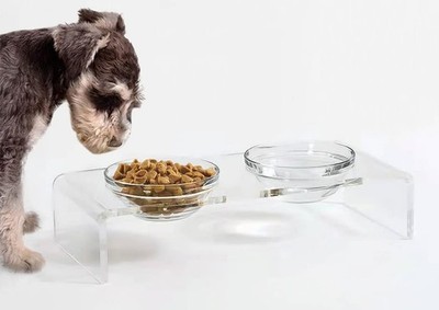 Acrylic Elevated Small: 3.75'' Height, 13.7 oz Glass Bowl, clear 