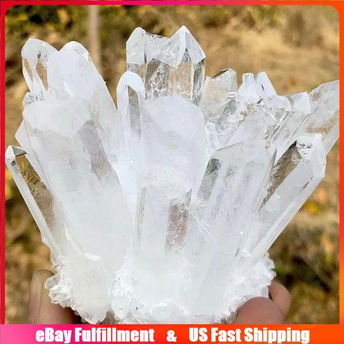 Large Natural Clear Quartz Crystal Cluster Healing Geode Specimen Gemstone Decor