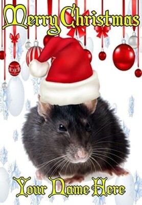 Ratte ptcc201 Weihnachtsmütze Xmas Weihnachtskarte A5 personalisiert Grußkarten verschickt