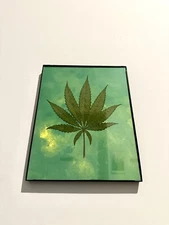 Real Pressed Cannabis Leaves, Wall Decor - 8.5 x 11.5