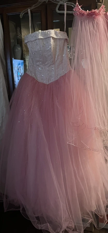Michaelangelo Dyed Pink Strapless Tulle Wedding Dress Ball Gown Gloves Veil 10 - Image 2 of 4