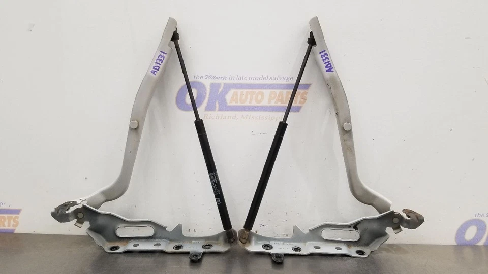 JUEGO DE BISAGRAS CAPÓ FORD F450 SUPER DUTY 19 PAR BLANCO Foto 2 de 4