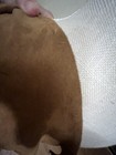 Bild 10 von 14