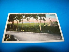 Old Baldy at Sunset from Smiley Heights,  Redlands, California     Vintage  1939
