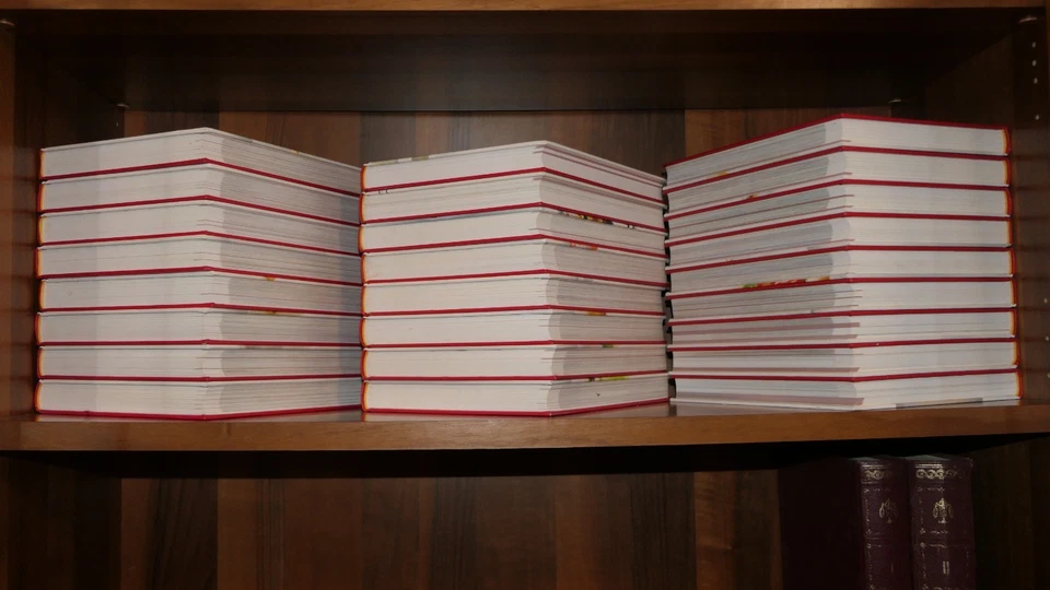 L'Enciclopedia della Cucina Italiana - Mondadori 25 volumi - ricette gastronomia - Immagine 4 di 4