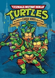 Teenage Mutant Ninja Turtles (1987) : the Complete Classic Series Collection (DVD)