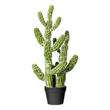 Vickerman 31" Contemporary Plastic Artificial Potted Cactus in Green