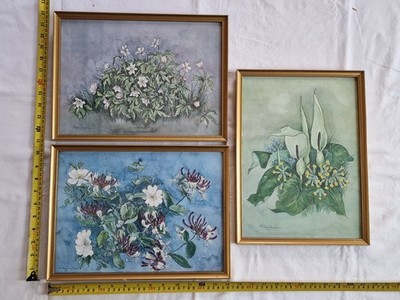 3 x E. Patricia Dyson framed floral flowers prints honeysuckle anemones cowslip